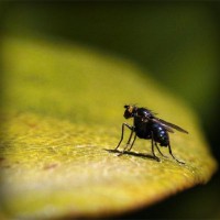 /album/highnoconli/photolia-a07-jpg/